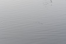 SS5_1574sc.JPG