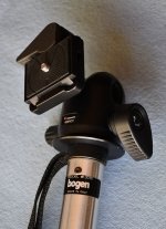 Bogen3016.jpg