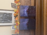 IMG_0490.jpeg IMG_0490.jpeg