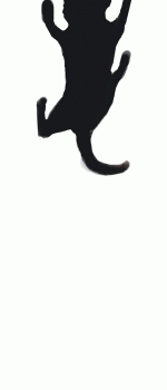 Kitty1.gif
