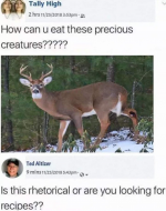 1684167057711.png