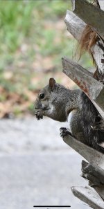 IMG_2621.jpeg