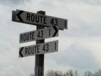 route41~2.jpg