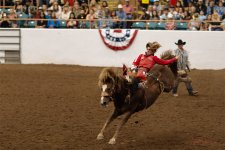 Rodeo-September 20, 2023-2.jpg