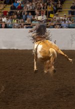 Rodeo-September 20, 2023-20.jpg
