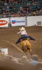 Rodeo-September 20, 2023-23.jpg