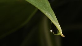 IMG_3393.jpeg