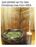 IMG_0036.jpeg