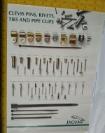 Clevis Pins, Rivits, Ties & Pipe Clips.jpg