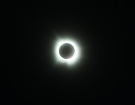 84192773-C30D-4118-A652-513043CF9E9B.jpeg