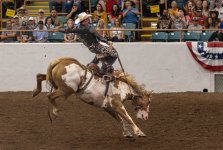Rodeo-September 20, 2023-21 copy.jpeg