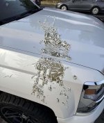 Brake fluid in action.jpg