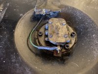 IMG_0546.jpeg