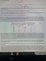 IMG_4355-compressed.jpeg