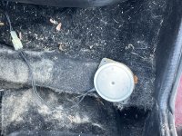 IMG_1968.jpeg