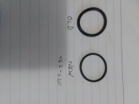Speedo O-ring.jpg