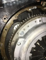 IMG_1310.jpeg