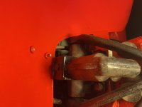 IMG_0823.jpeg