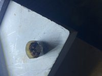 IMG_0927.jpeg
