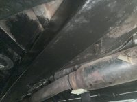 IMG_0510.jpeg