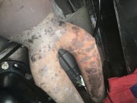 IMG_0508.jpeg