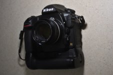SS2_5859Gsc.JPG