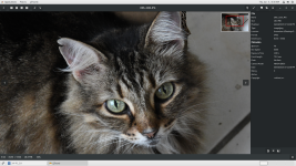 Screenshot from 2025-06-05 0.png