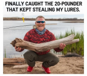 1749831665546.png