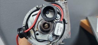 tr6 22D distributor (3).jpg