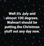 1751471769038.png