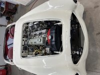 IMG_4431.jpeg