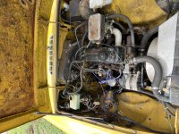 IMG_8942.jpeg