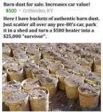 1755400533619.jpeg