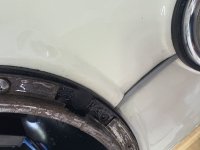 IMG_8269.jpeg