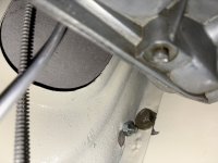 IMG_8402.jpeg