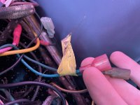 IMG_7230.jpeg