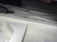 IMG_8381.jpeg
