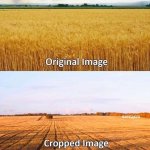1758848348685.jpeg