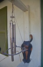 81A_5710DGsc.jpg 81A_5710DGsc.jpg