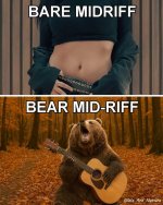 Bear mid-riff.jpg