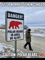 Caution-Polar Bears.jpg