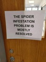 The spider infestation.jpg