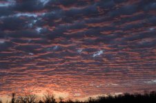 _WWK0336.jpg _WWK0336.jpg