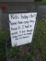 walk thru shag carpet.jpg