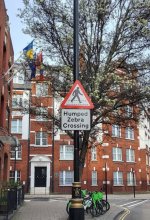 Humped Zebra Crossing.jpg