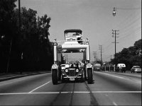 TC Watch the Birdie.jpg