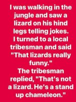 stand up chameleon.jpg