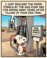 gas station towels.jpg