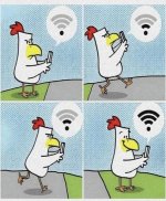 Why  the chicken crossed the road.jpg