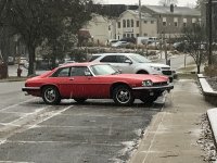 IMG_1117.jpeg